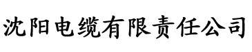 香蕉精品视频久久电缆厂logo